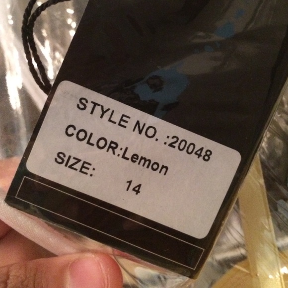 Prom Dress - Picture 3 of 4