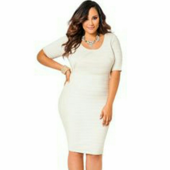 Ashley Bodycon Dress NWT
