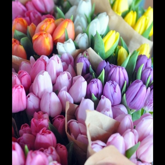 Closet clear out! - Picture 2 of 2