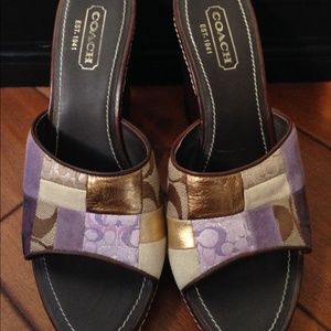 Path work coach wedges