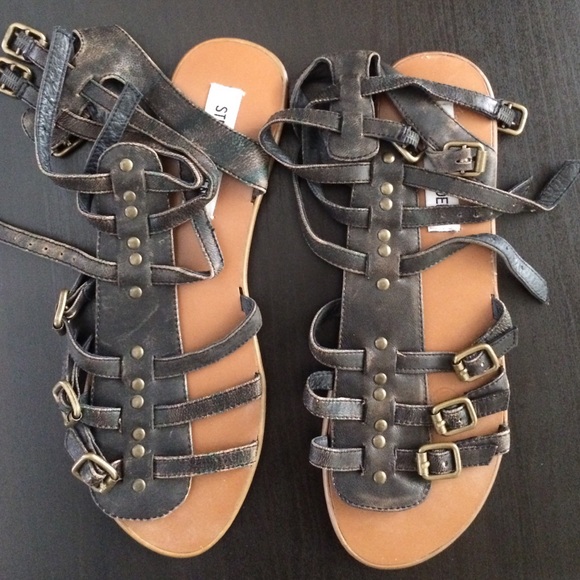 Steve Madden gladiator sandals