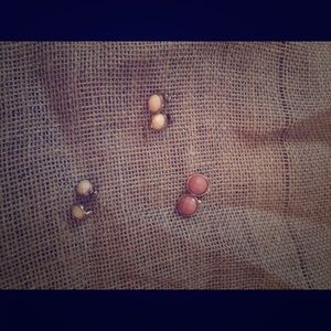 Bundle with necklace Pairs of Ann Taylor Earrings