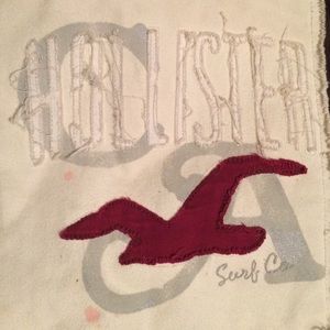 Hollister bag