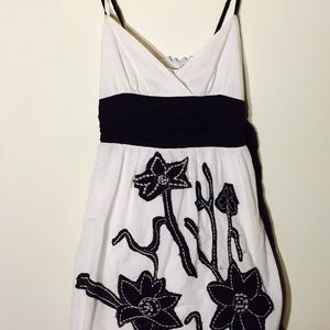 Max Studio Sun Dress