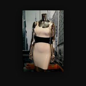 Bebe Nude Dress