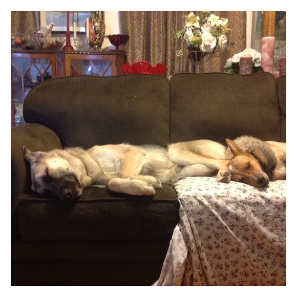 Don't forget to accessorize! - Picture 2 of 2