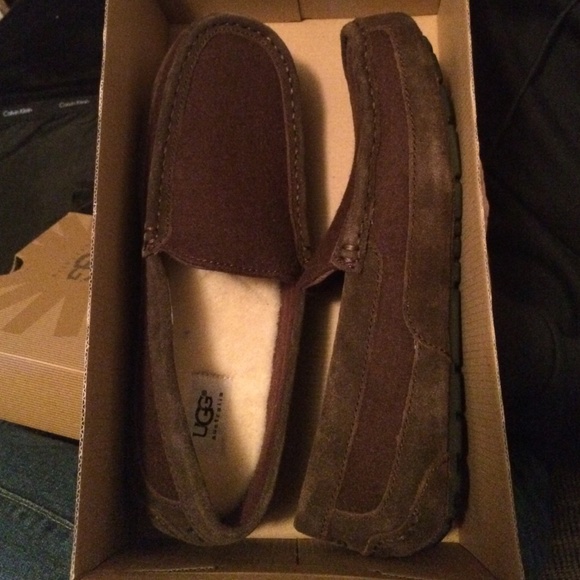 Size 9 brown men's Alder wool UGGS.