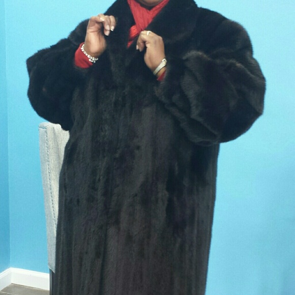 Mink - SOLD! - Picture 2 of 2