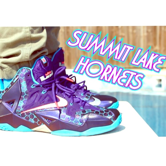 Lebron 12 Purple Summer Lake