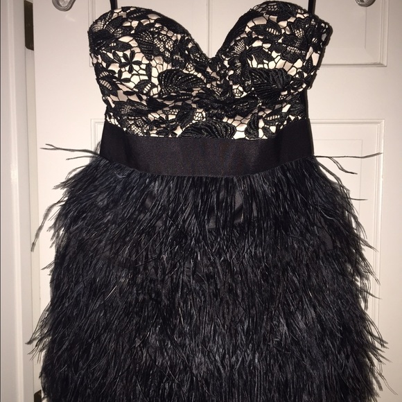 bebe lace feather dress