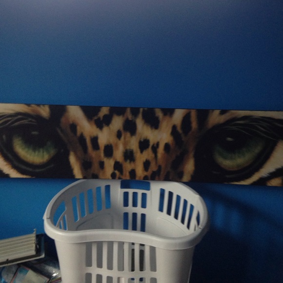 Cheetah eyes painting