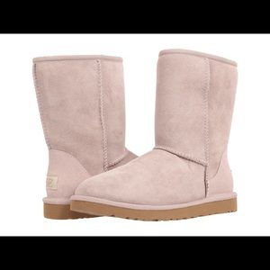 Classic short Ugg, size 8, in Feather, NEW in Box