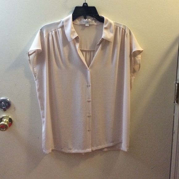 Any taylor loft Tops - Shirt