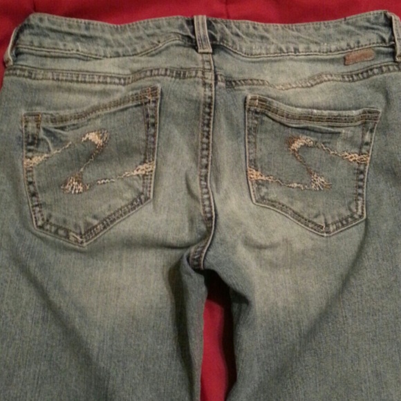 Sliver capris - Picture 2 of 3