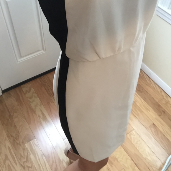 Color Block White & Black Dress - Picture 4 of 4
