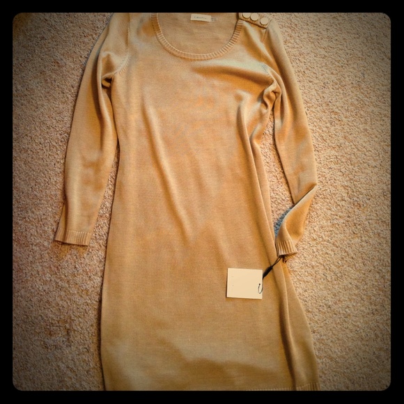 Calvin Klein sweater dress
