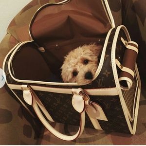 Dog carrier by louis vuitton 40