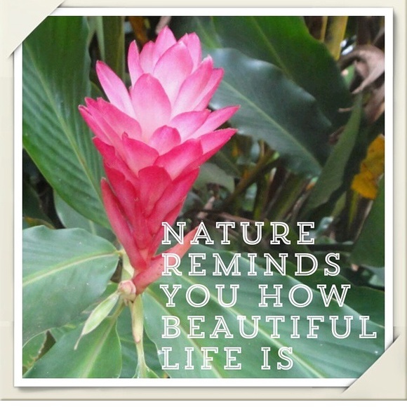 Meet your seller🌿🌸🐚🌈 - Picture 2 of 3