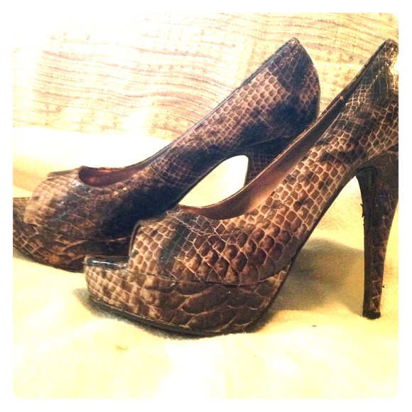 Snakeskin Steve Madden