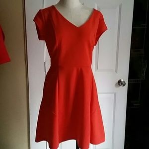 Merino Dress, Never worn, Size Large