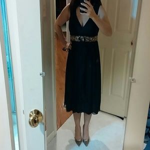 Banana Republic Blake sheer dress