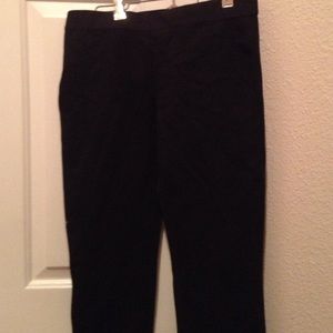 J crew petite Pants