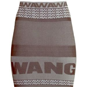 Alexander Wang x H&M Mini Bodycon Pencil Skirt XS