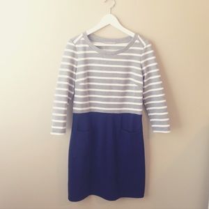 Gap Knit Dress