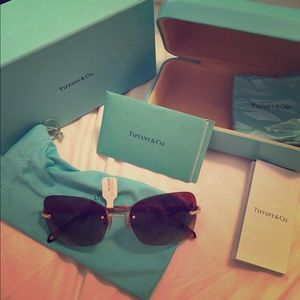 Authentic, never worn, Tiffany & Co. Sunglasses.