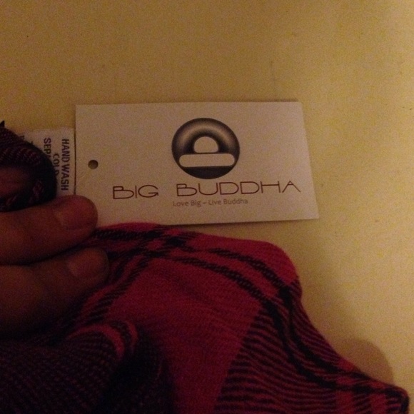 NWT Big Buddha Pink Plaid Infinity Scarf ๐ - Picture 4 of 4