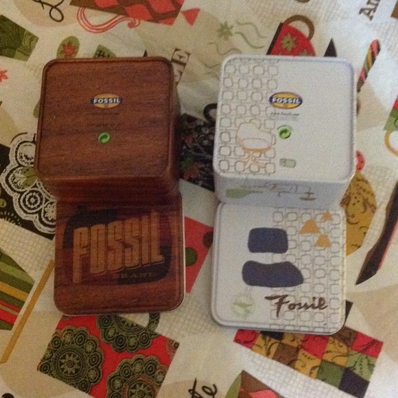 Fossil Bundle - Picture 2 of 4