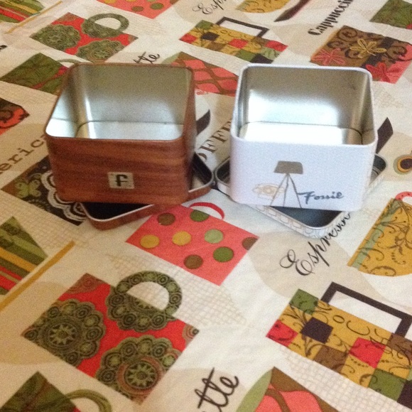 Fossil Bundle - Picture 3 of 4