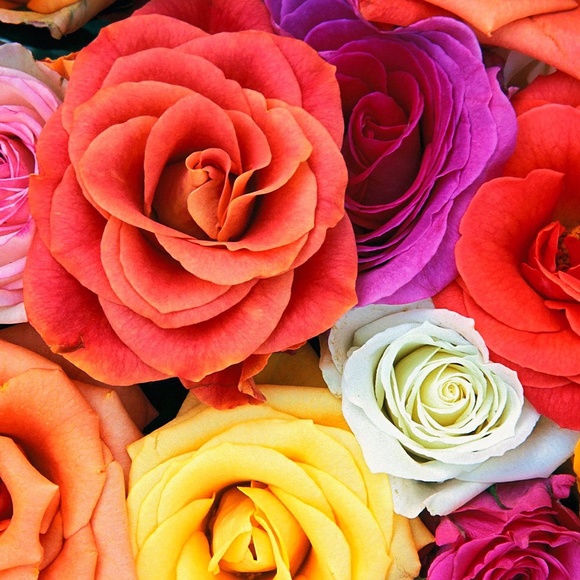 Bundle reserved for @ladyvampire13