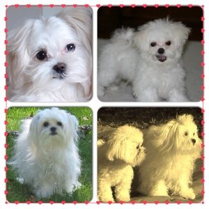 My babies❤️Mia & Monet❤️