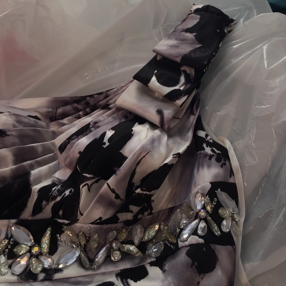 Prom Dress - Picture 4 of 4