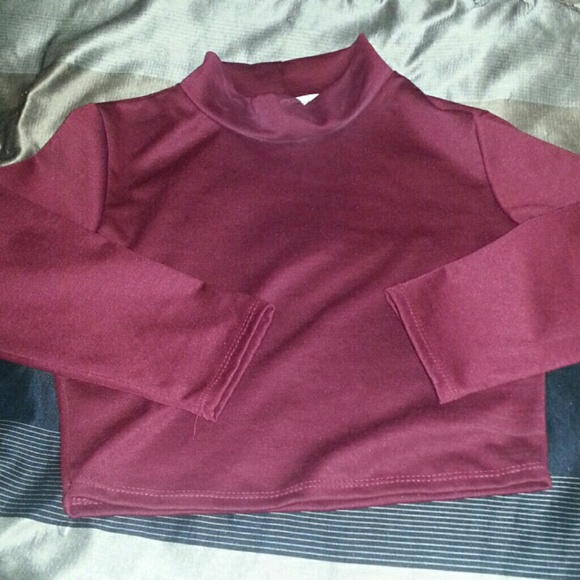 BURGUNDY TURTLE NECK CROP TOP