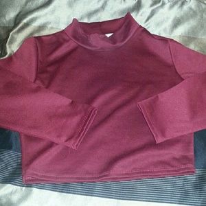 BURGUNDY TURTLE NECK CROP TOP