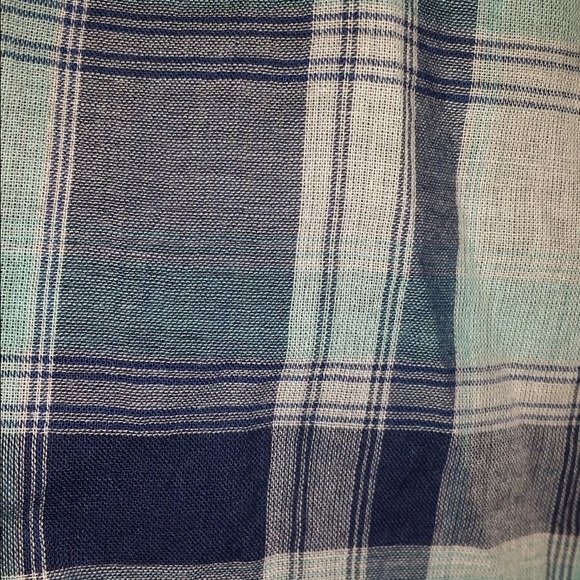 Blue Flannel - Picture 2 of 3
