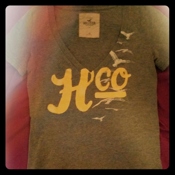 Hollister fitted v neck top
