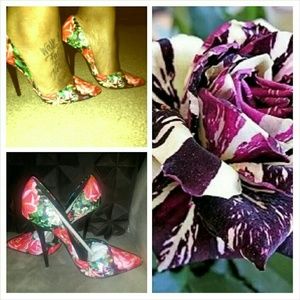 ~Steve Madden (Vincible) Pumps~