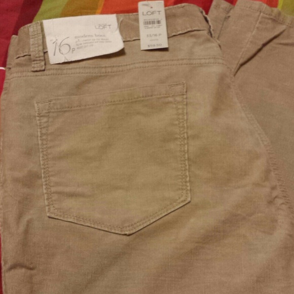 Clothes - Picture 1 of 4
