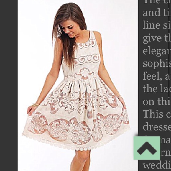 NWT Lace Fit & Flare Dress - Picture 4 of 4