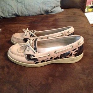 Leopard sperrys angelfish 7.5