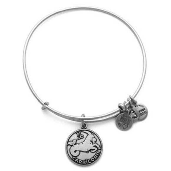 Alex and Ani Capricorn bracelet