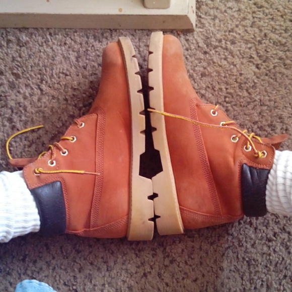 *TRADED* TIMBERLANDS