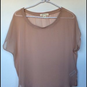 Sheer blush top