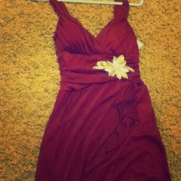 Cute Plum colored dress