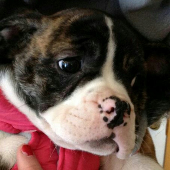 25% OFF BUNDLES - Picture 3 of 4