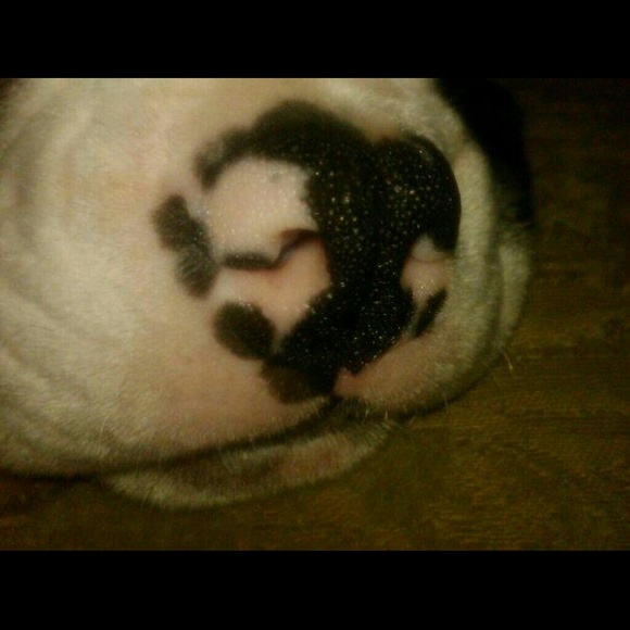 25% OFF BUNDLES - Picture 4 of 4