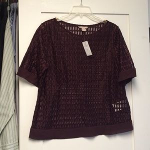 Lacquered Mesh Top in beautiful plum color.